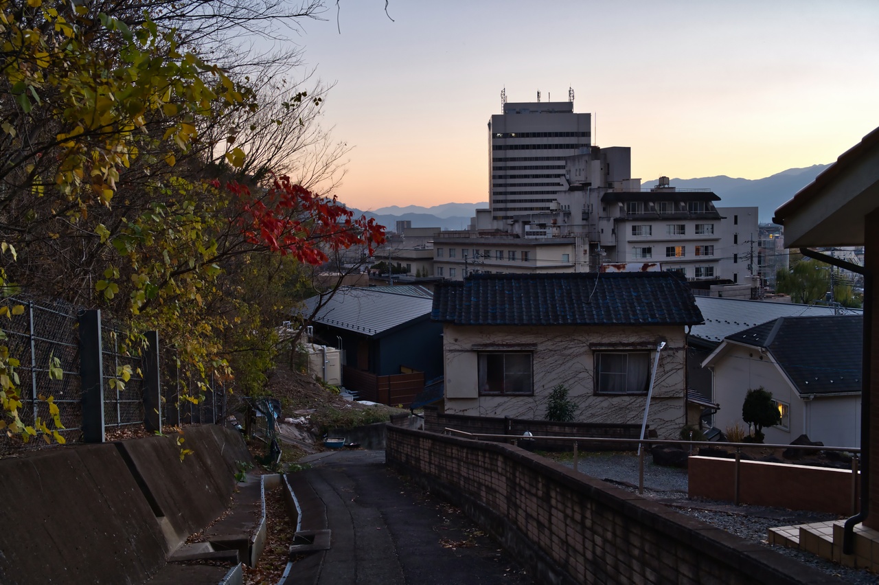 251130興因寺山-114
