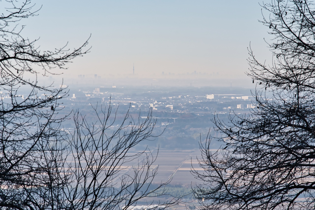 251207宝篋山-022