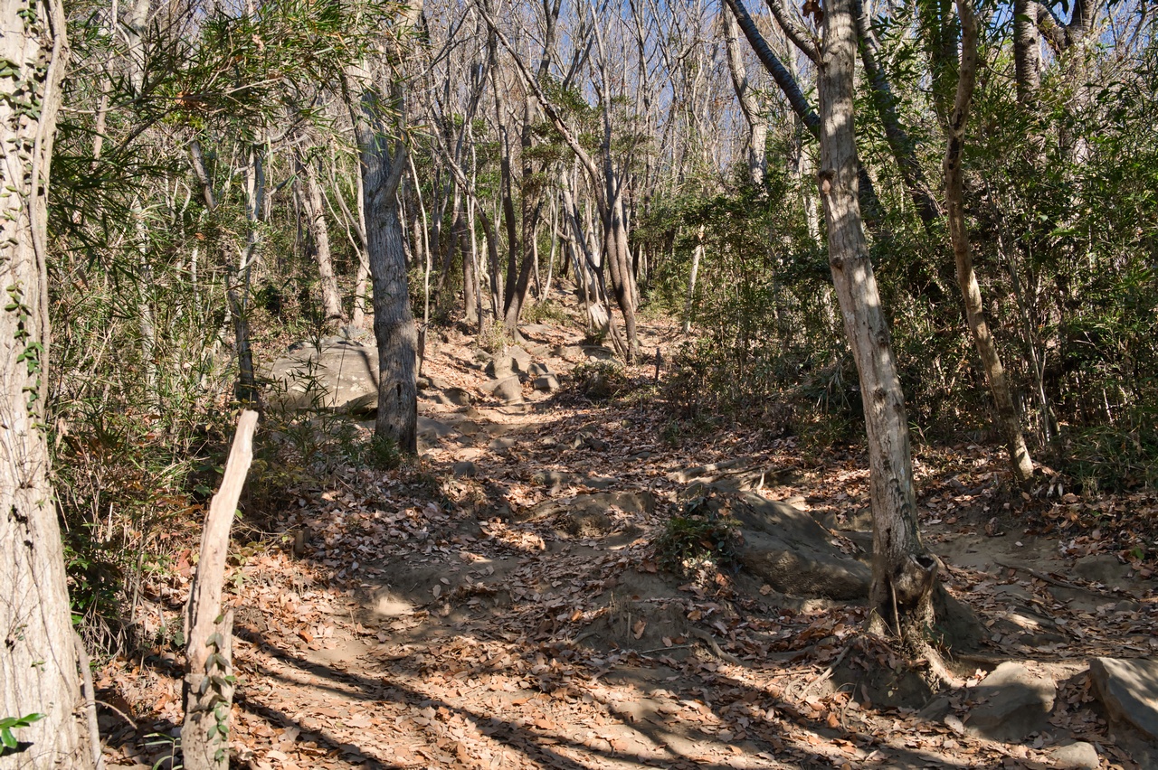 251207宝篋山-026