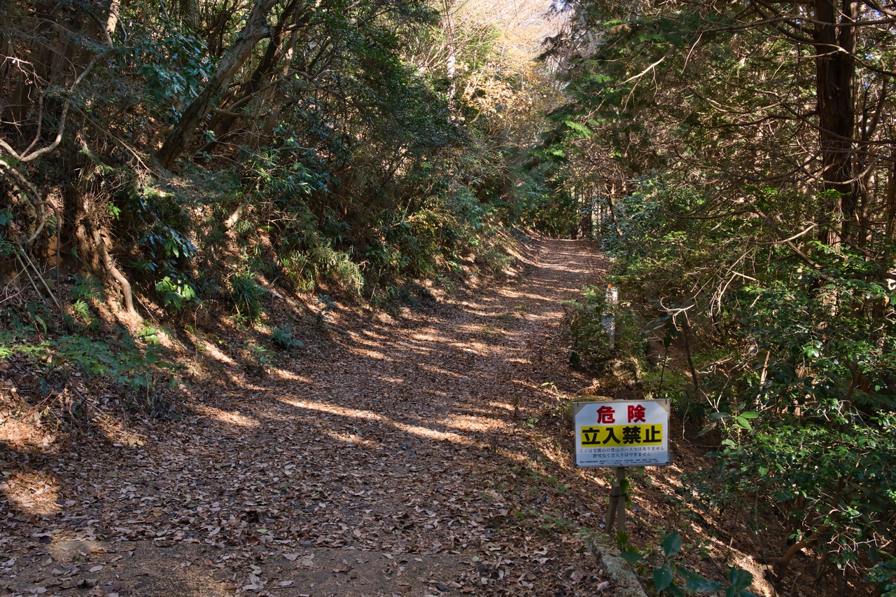251207宝篋山-044