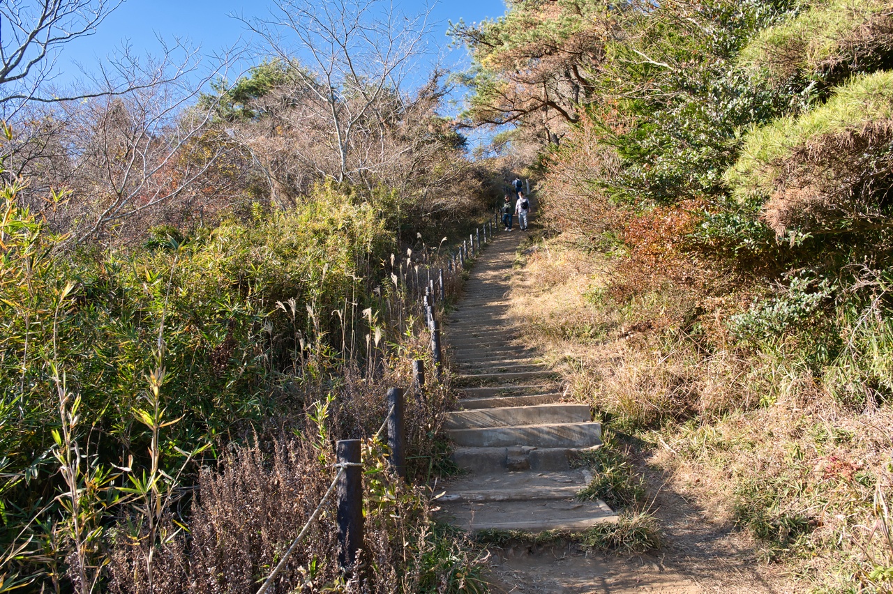 251207宝篋山-061