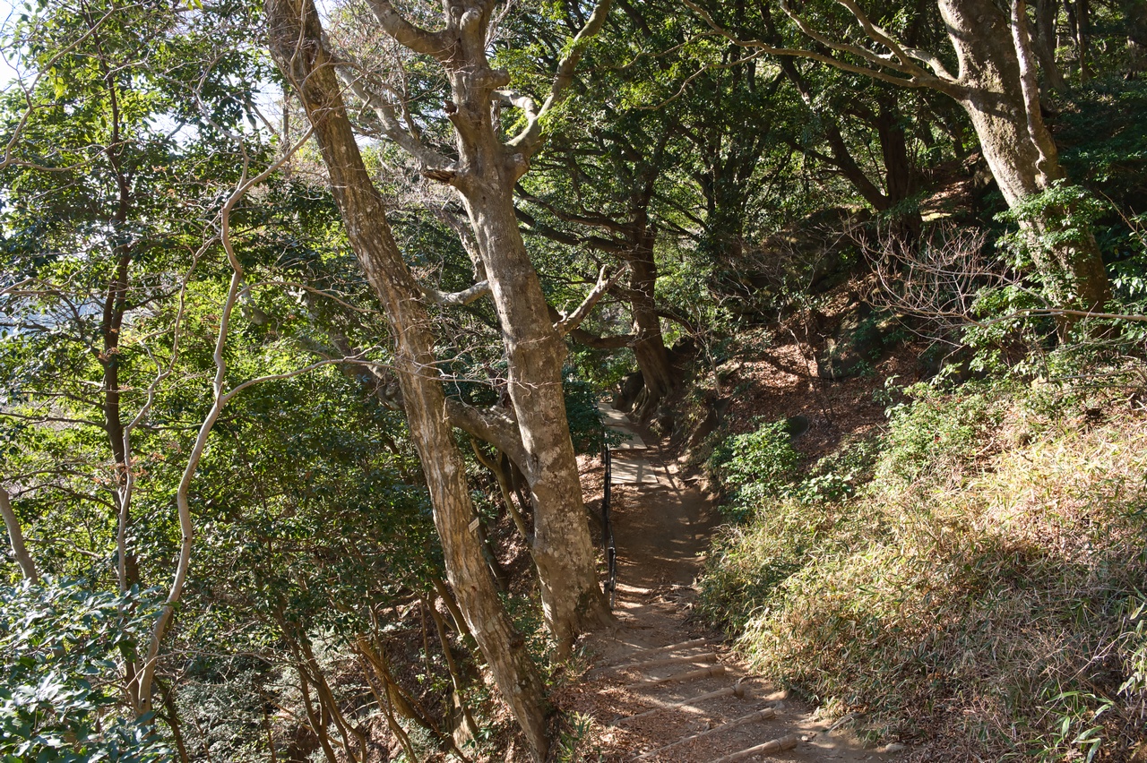 251207宝篋山-063