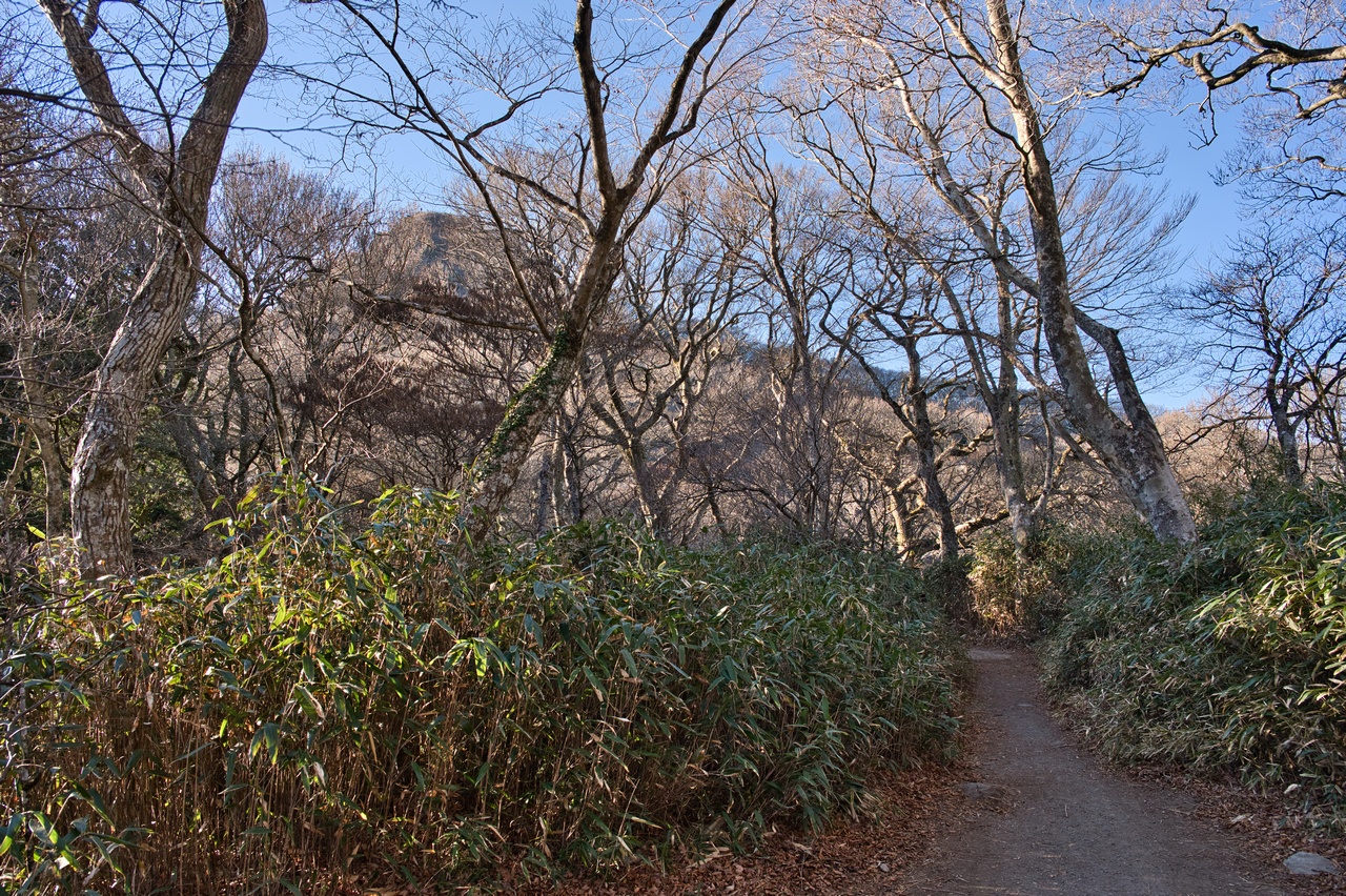251207宝篋山-068