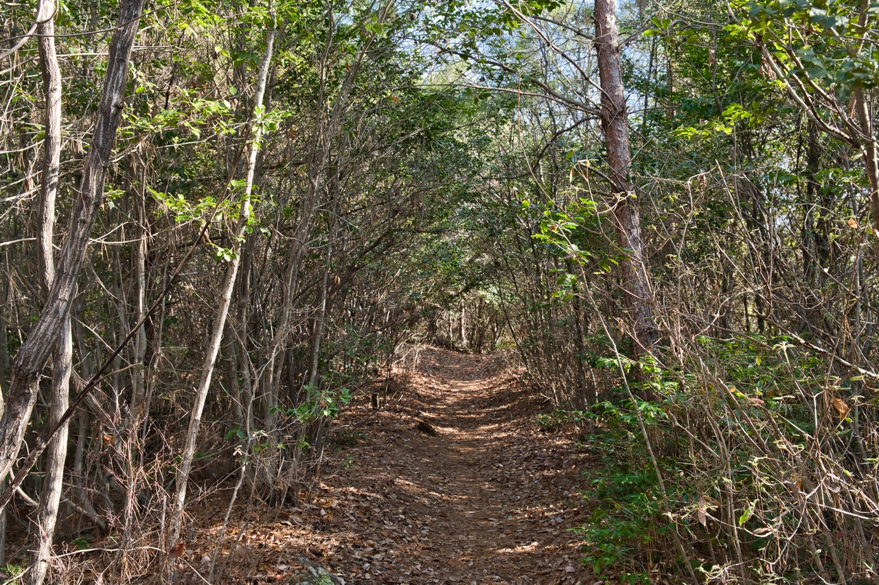各務原アルプスの登山道