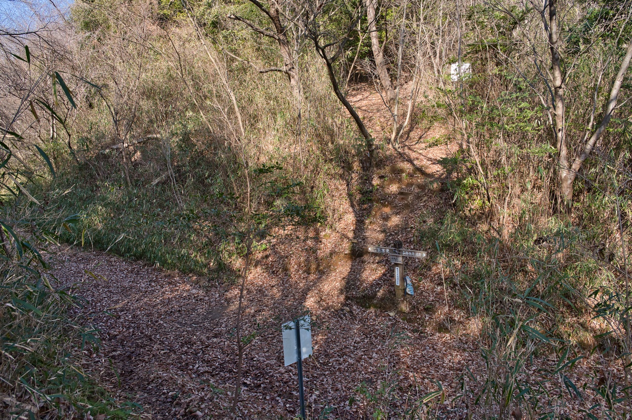 各務原アルプス 老洞峠