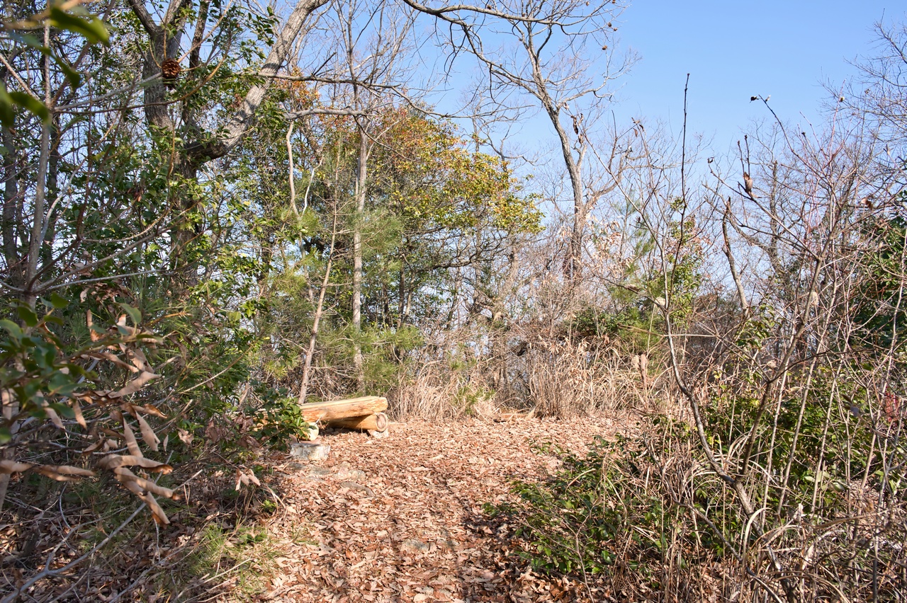 各務原アルプス 向山の山頂