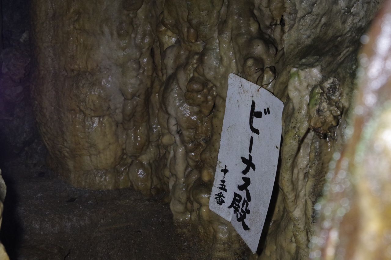 大岳鍾乳洞　ビーナス御殿と名づけられた鍾乳石
