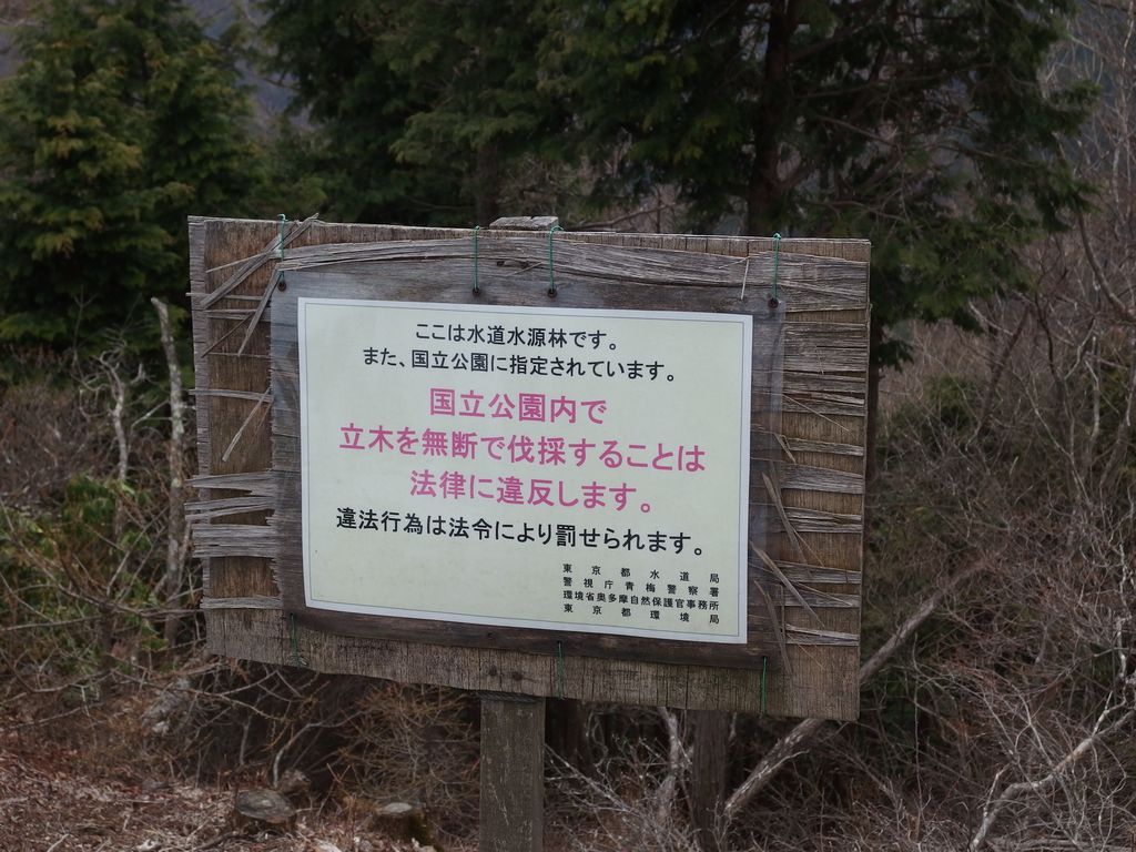 天目山にある無断伐採禁止の看板