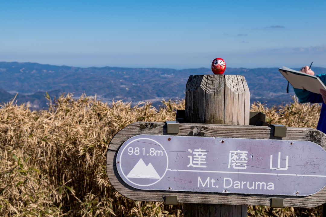 達磨山の山頂