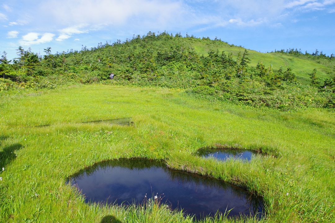会津駒ケ岳の池塘