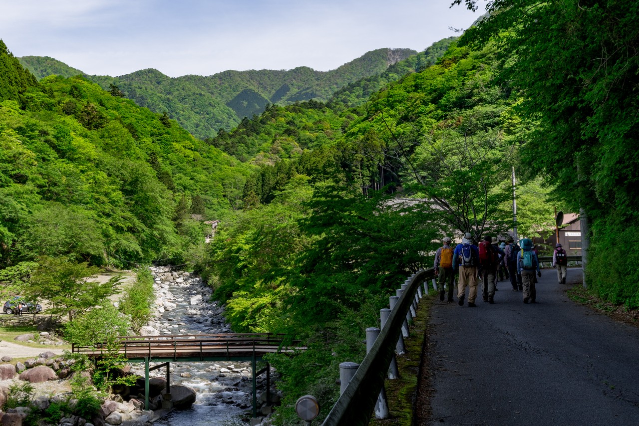 西丹沢の林道の沿道風景