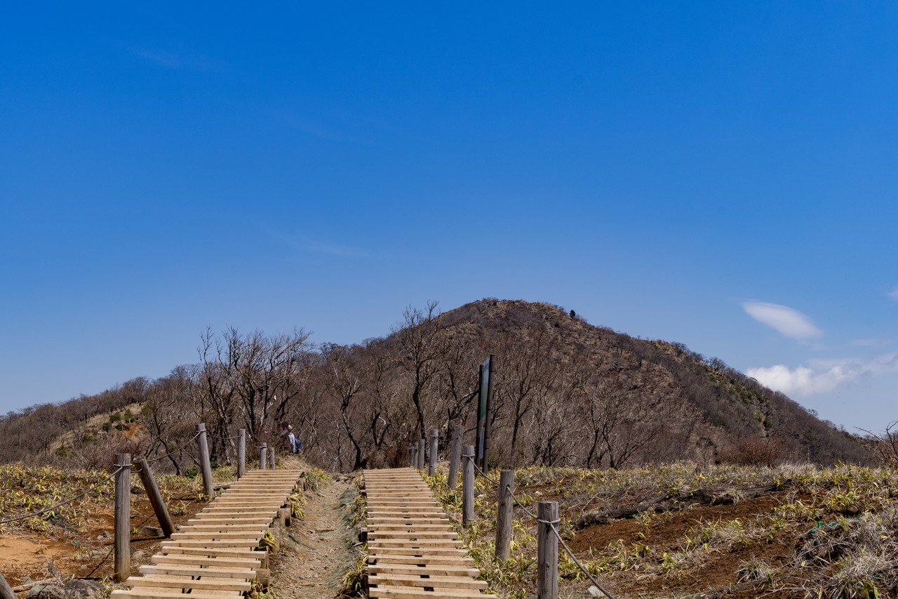 塔ノ岳 登山初心者と行くバカ尾根と呼ばれし道、表丹沢の定番ルート