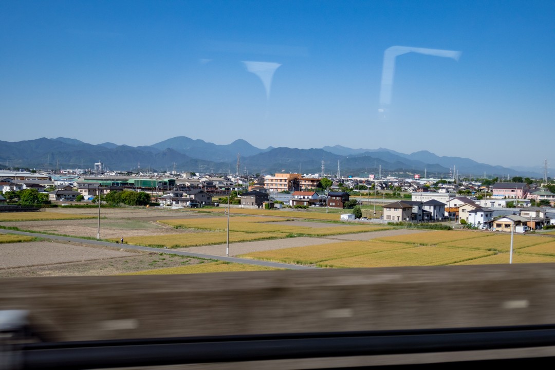 190525仙ノ倉山_005