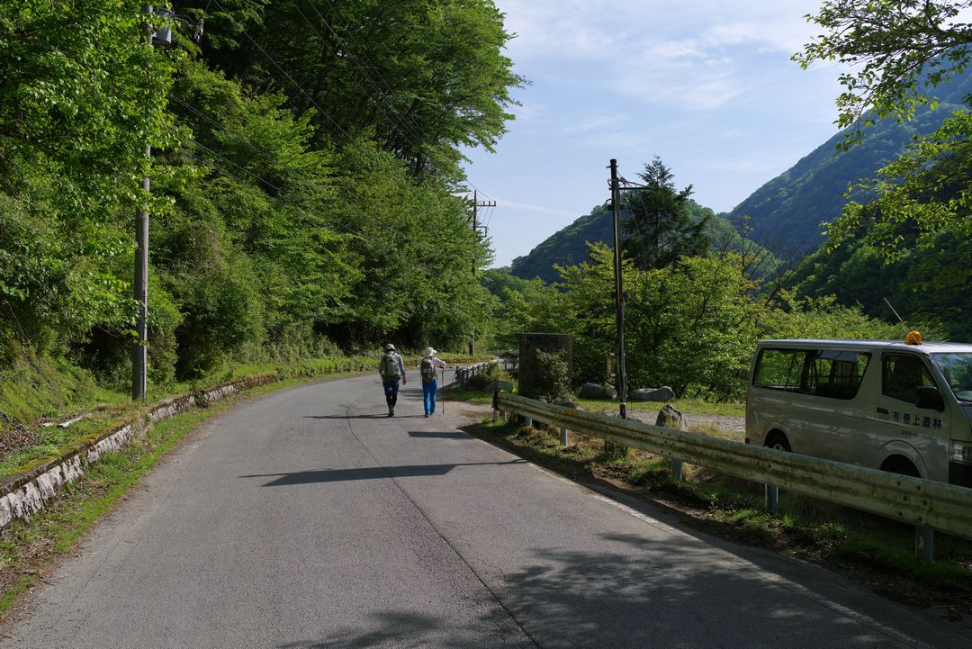 西丹沢の林道