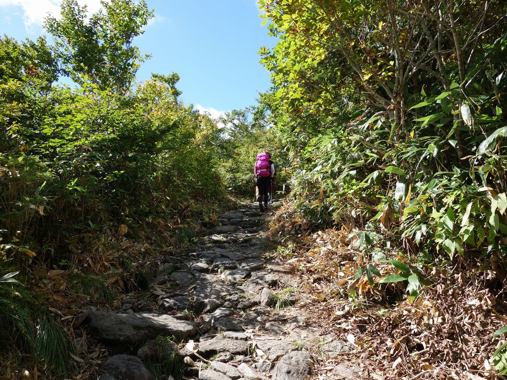 栗駒山中央コースの石畳