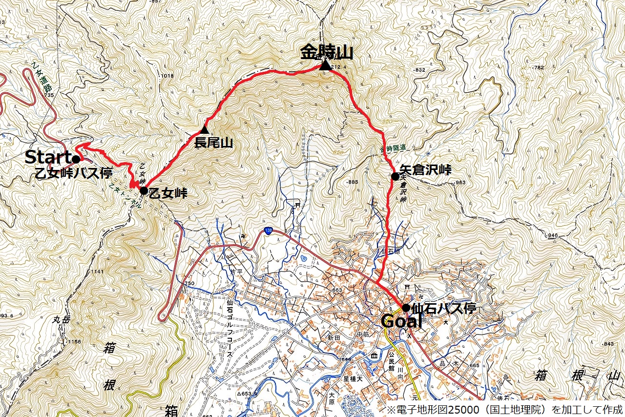 乙女峠か金時山のコースマップ