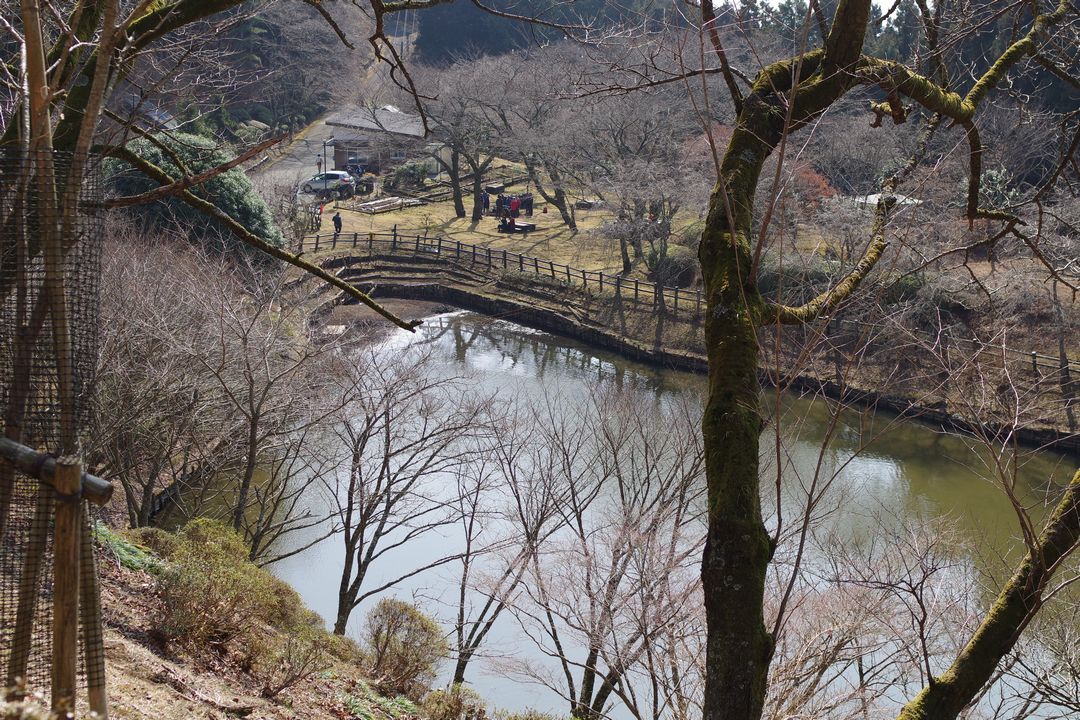 最明寺史跡公園の池