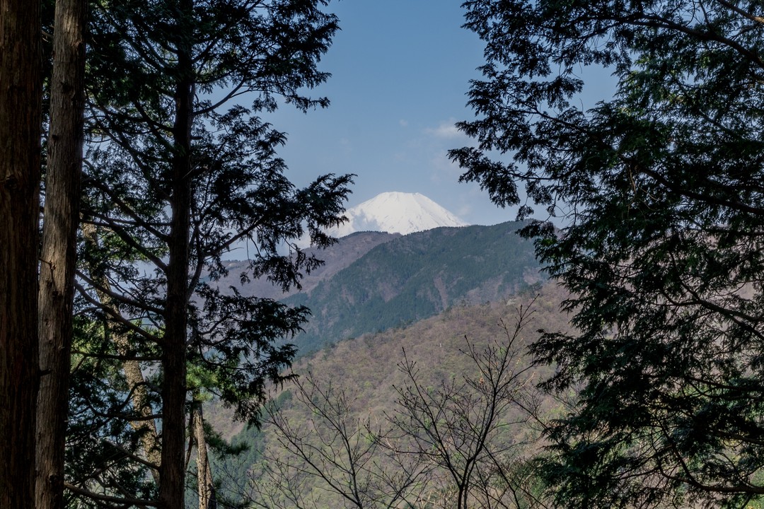 堀山の家から見た富士山