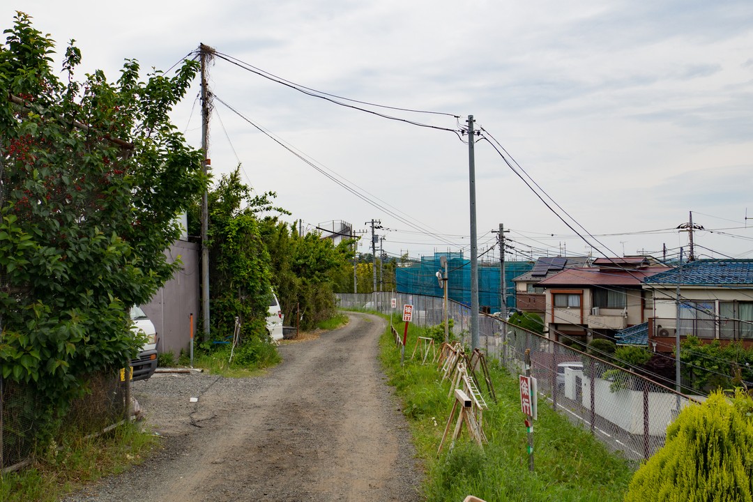 多摩よこやま道の沿道風景