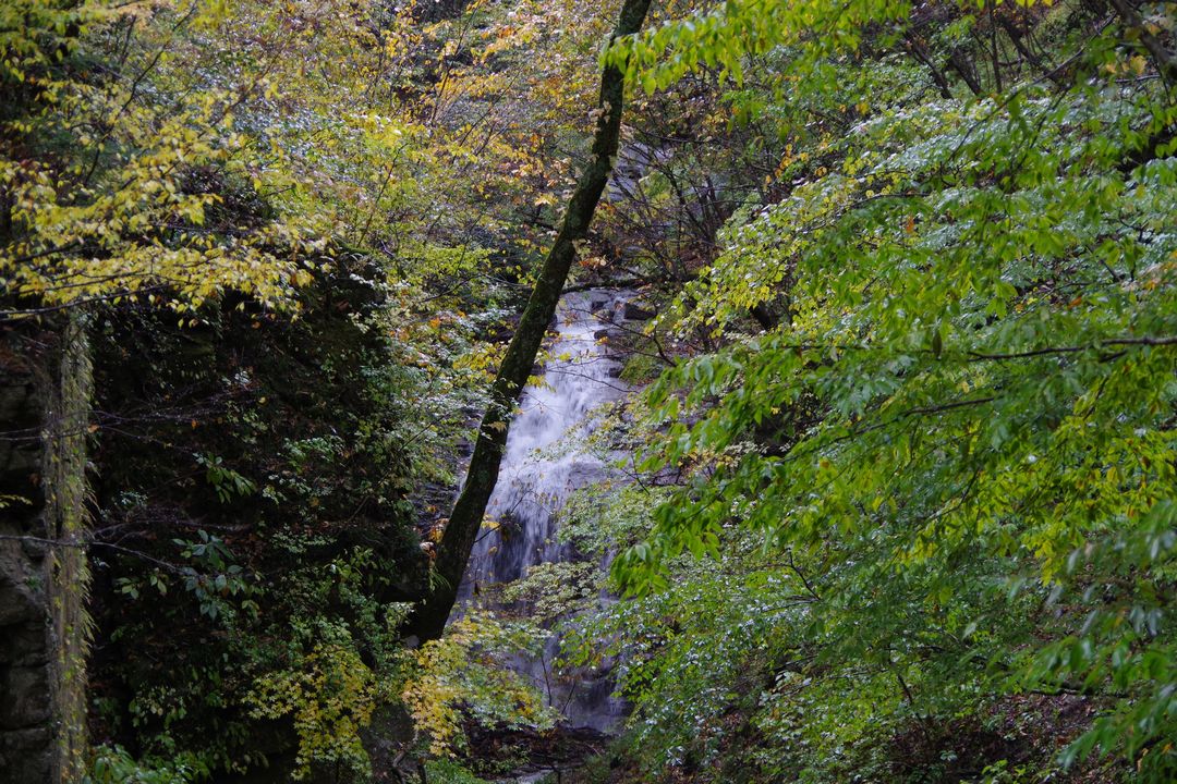 西沢渓谷　ナレイの滝