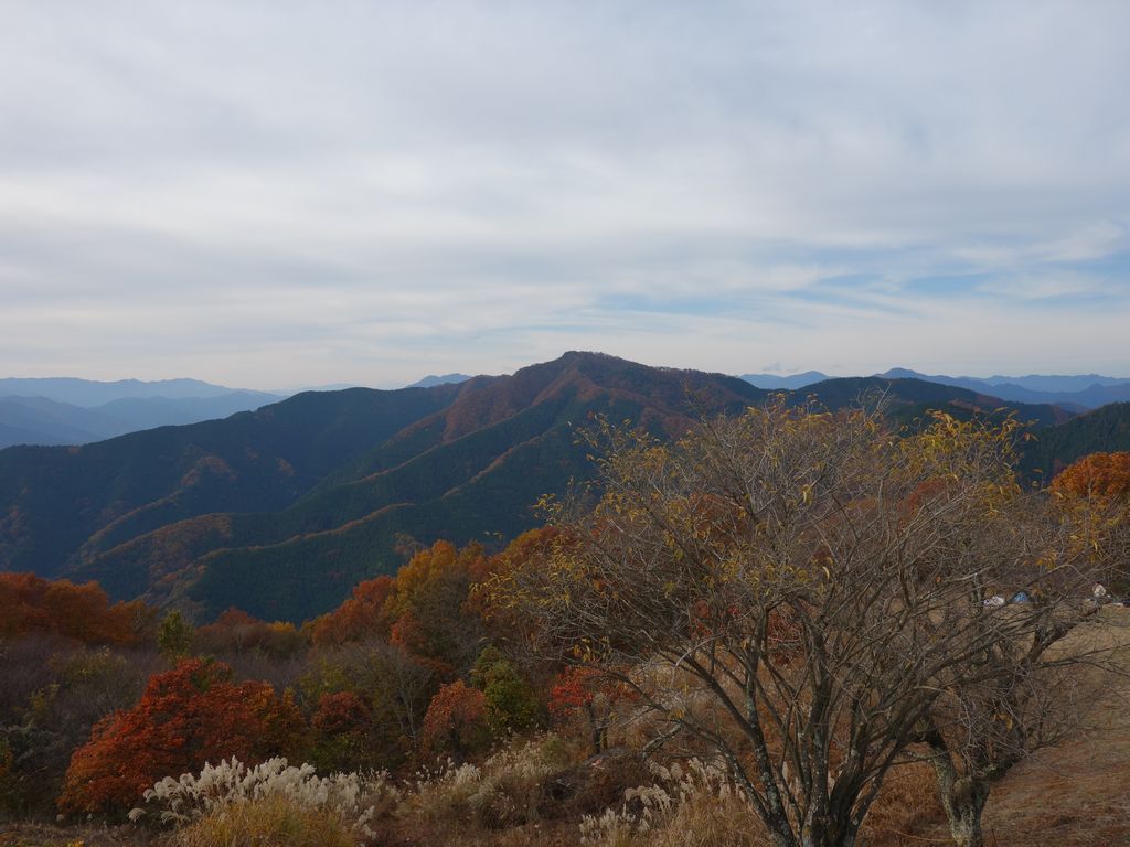 陣馬山から見た生藤山