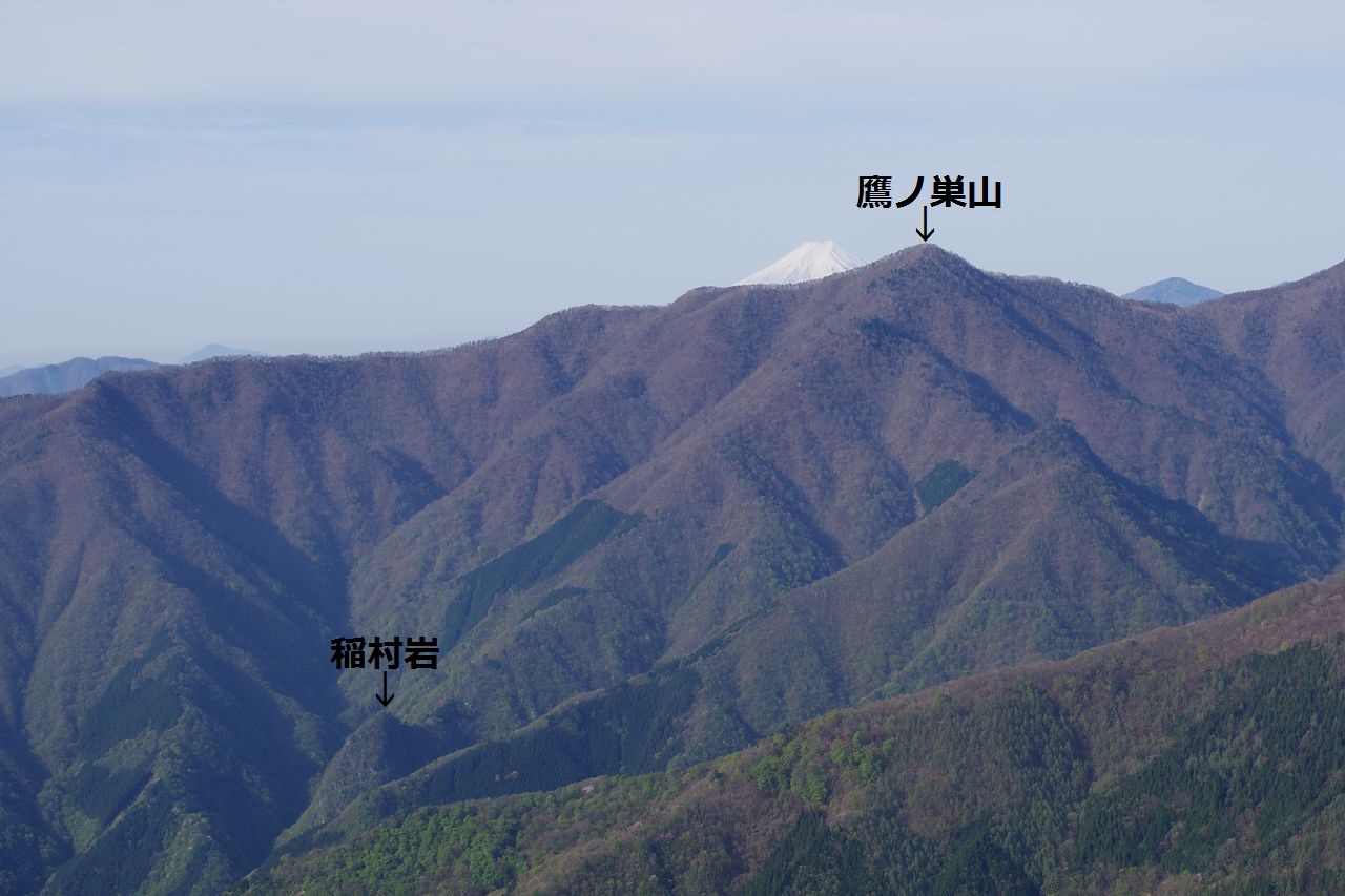 谷向かい長沢背稜から見た稲村岩尾根