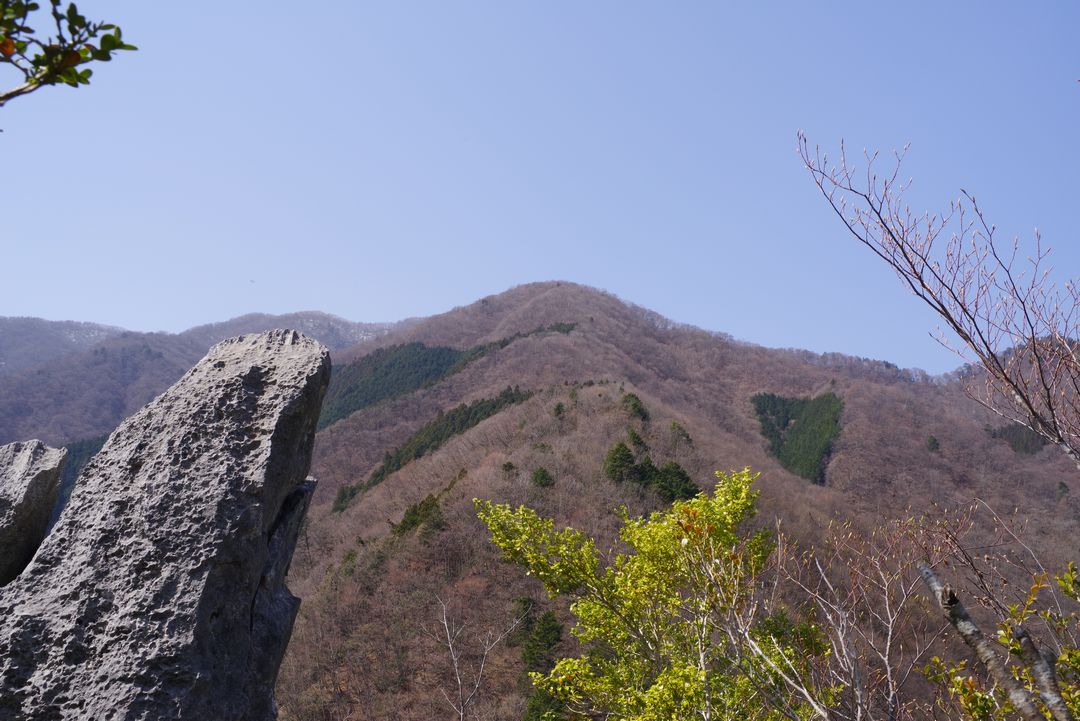 稲村岩の頂上から見た稲村岩尾根
