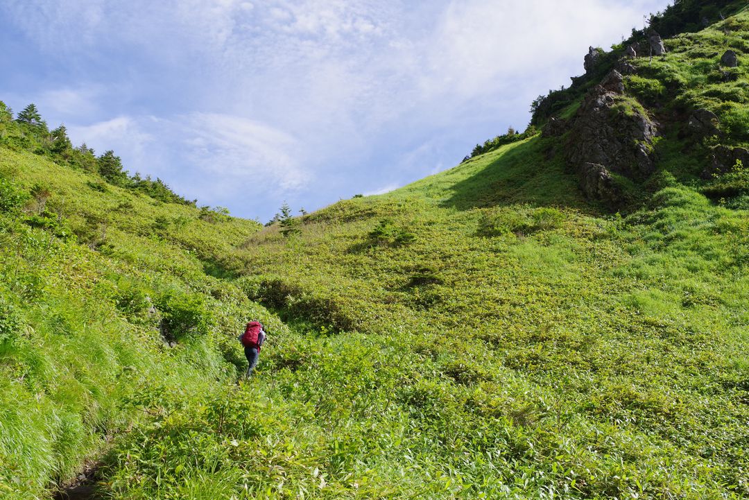 焼岳　上高地コースの登山道風景