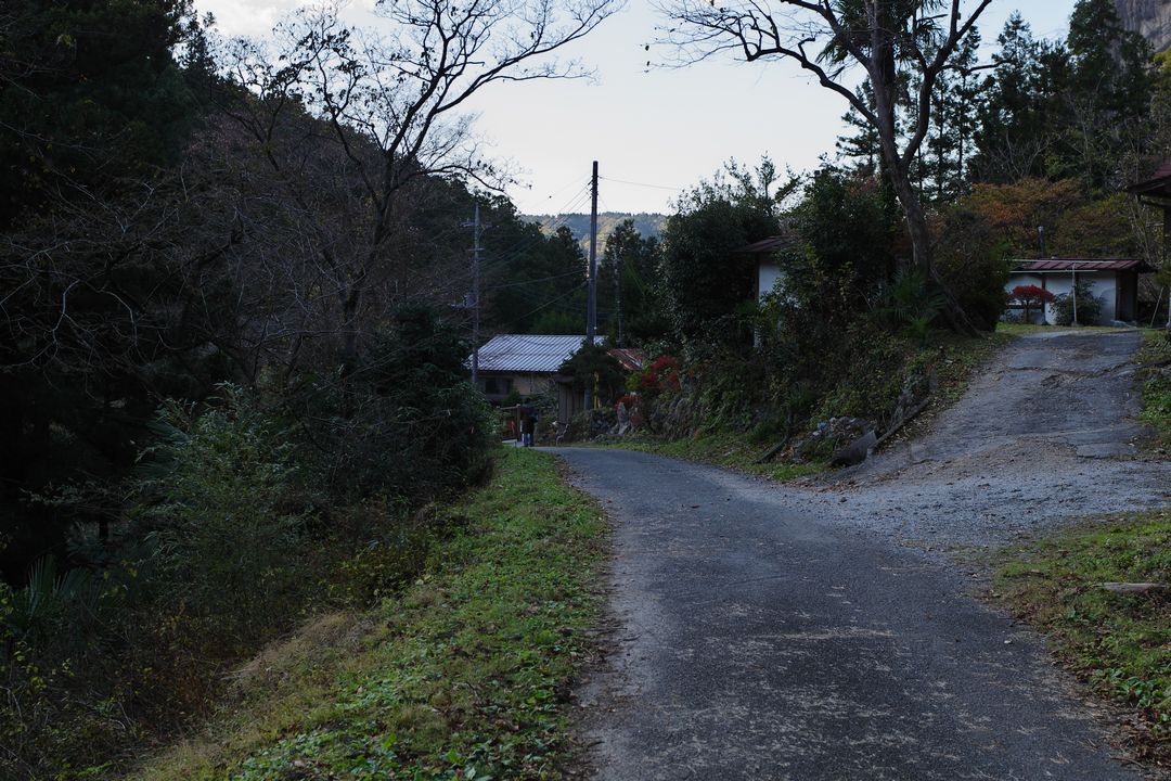 171114武甲山_086