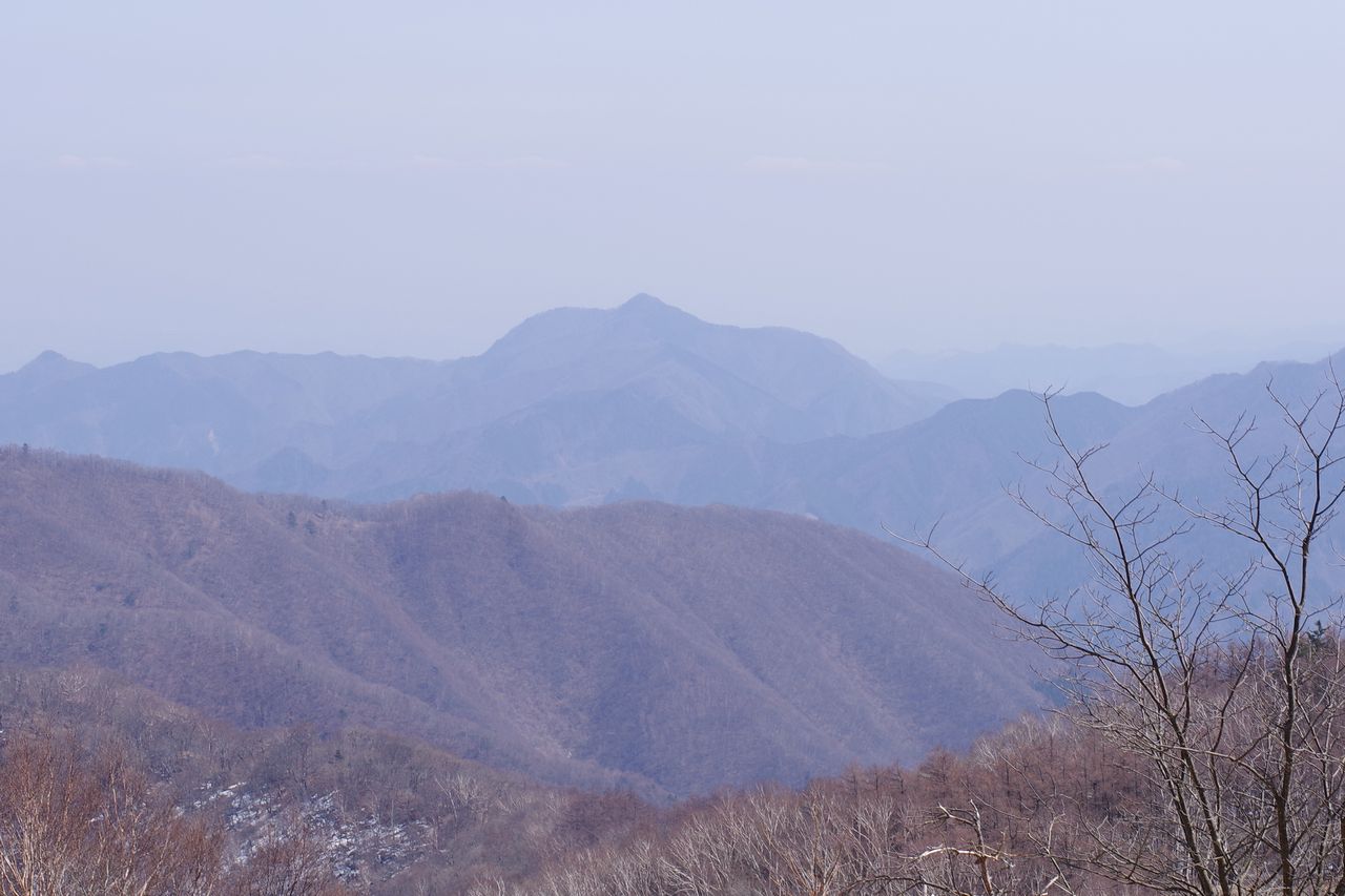 鷹ノ巣山から見た大岳山