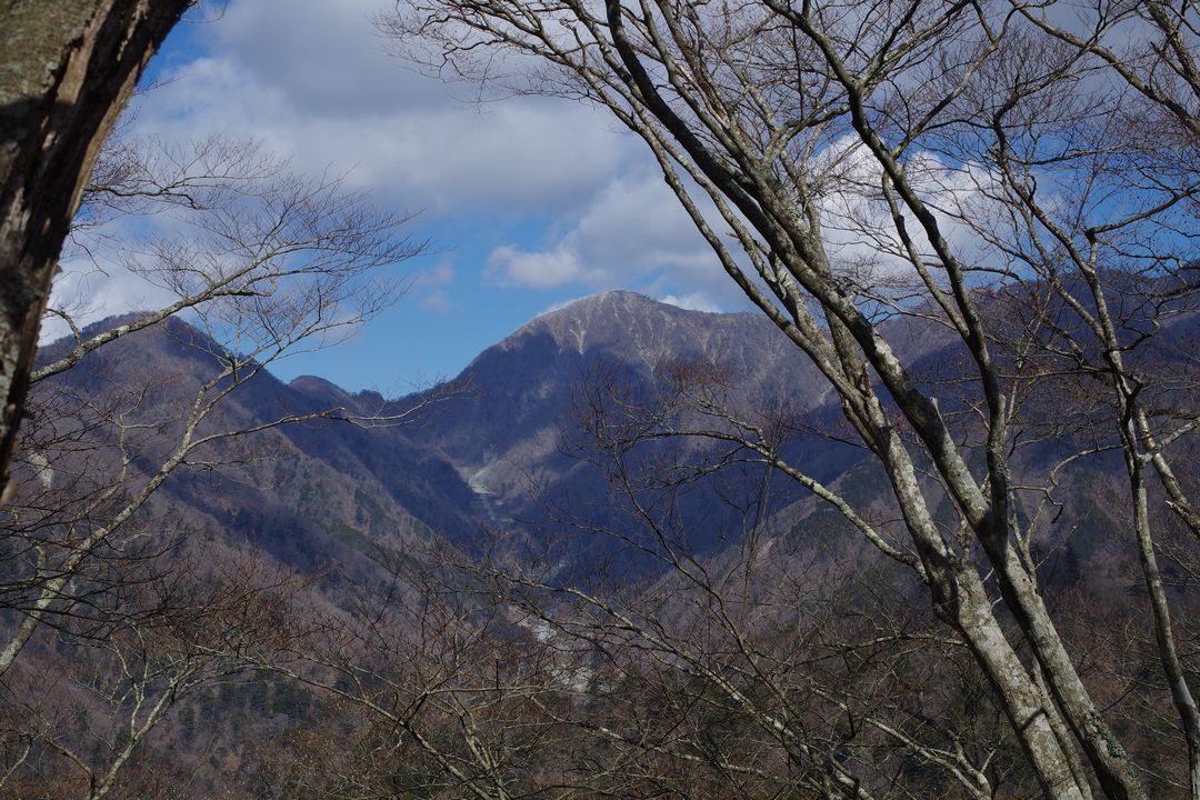 雨山峠コースから見た蛭ヶ岳