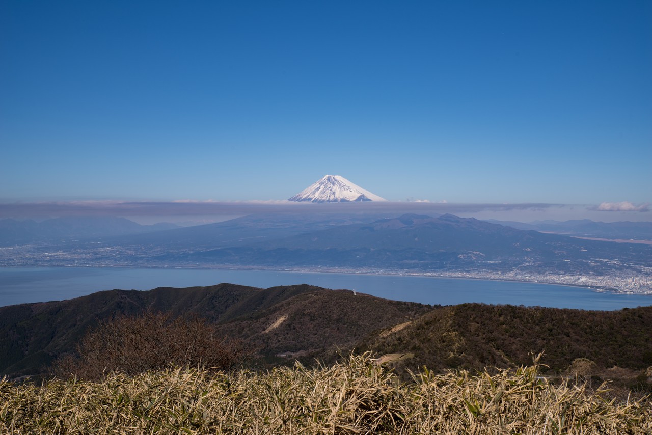 達磨山から見た富士山