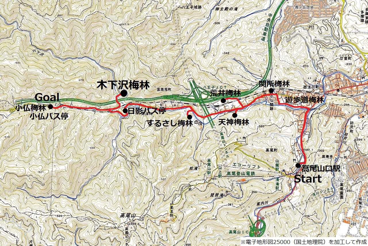 高尾梅郷のコースマップ