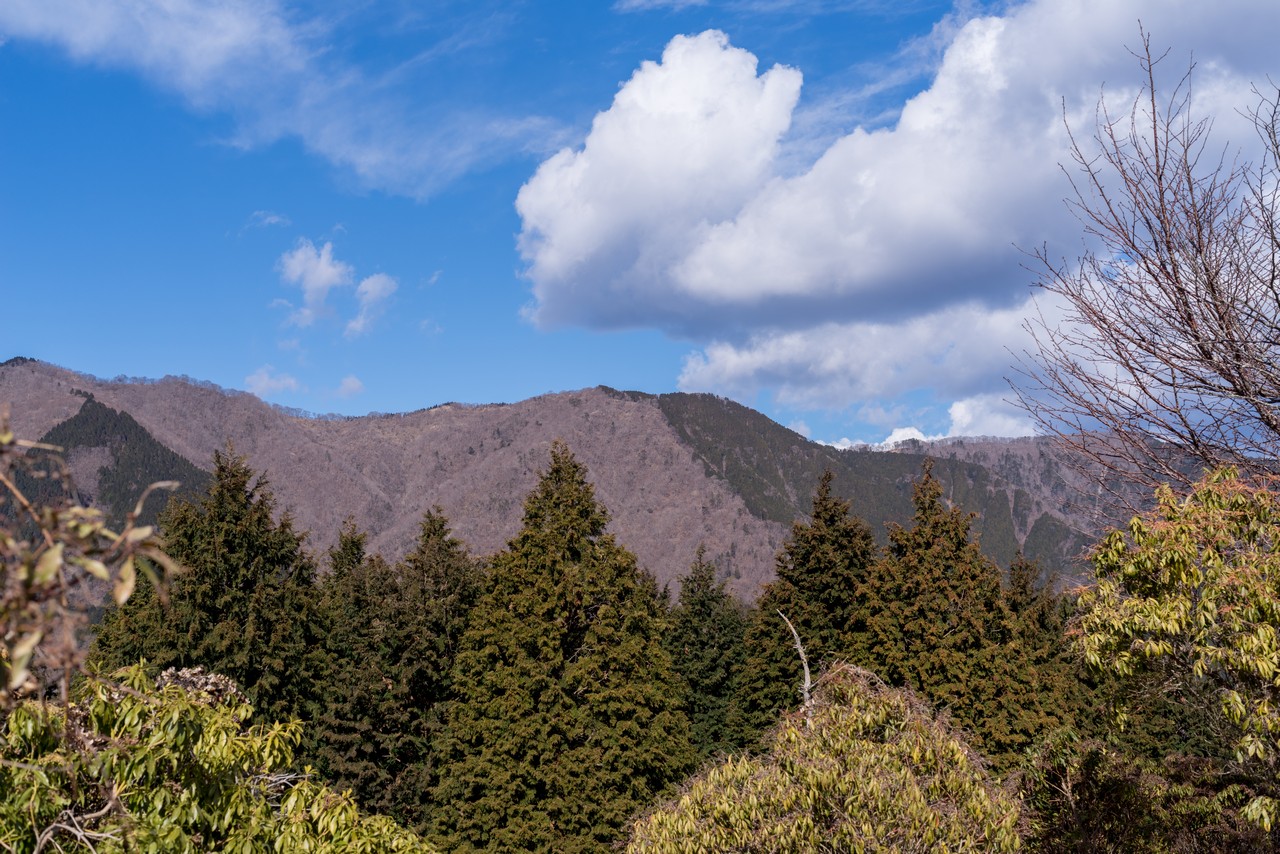 シタンゴ山から見た檜岳山稜