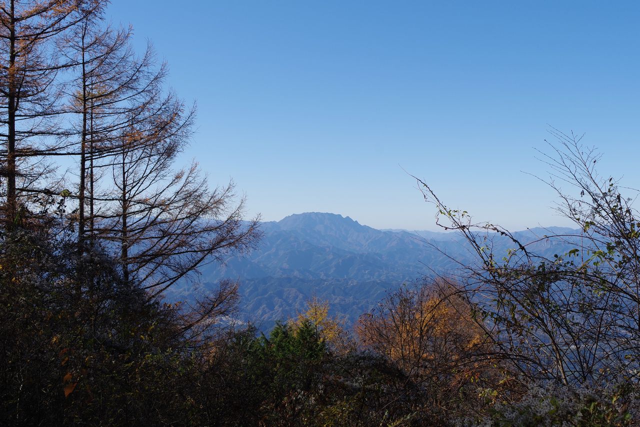 武甲山から見た両神山