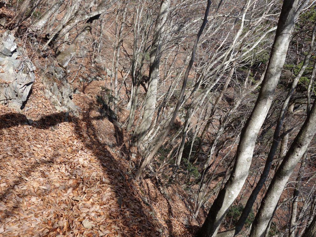 落ち葉に埋もれた登山道