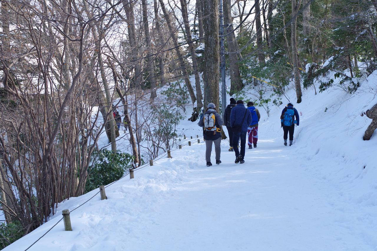 高尾山 世にも珍しき雪の高尾山を歩く 週末は山を目指す